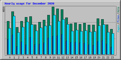 Hourly usage for December 2020