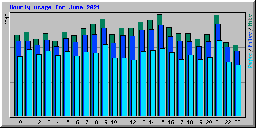 Hourly usage for June 2021