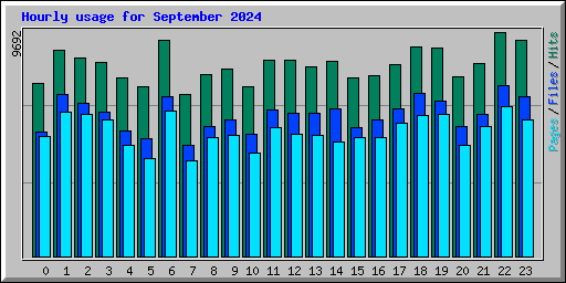Hourly usage for September 2024